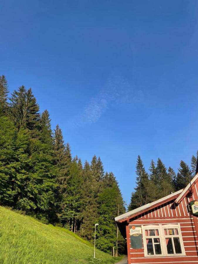 Penzion Lesni Zatisi- Harrachov Eksteriør bilde