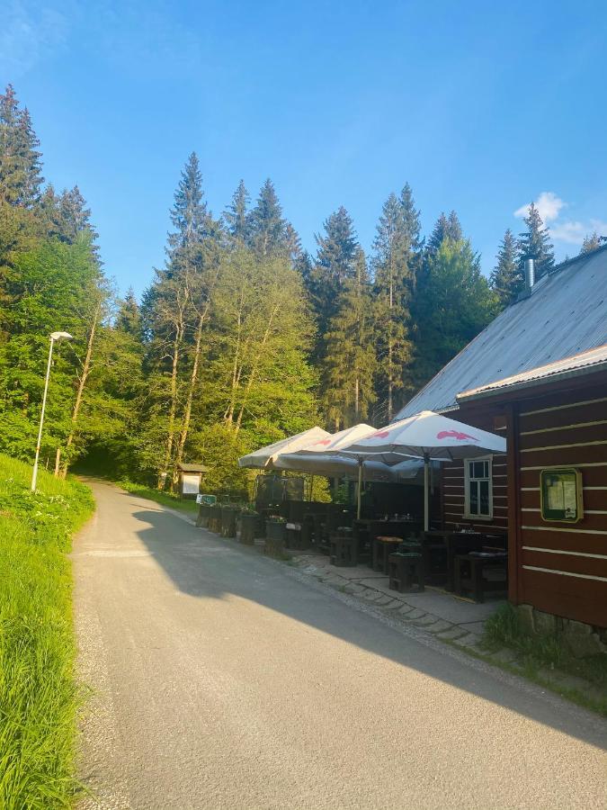Penzion Lesni Zatisi- Harrachov Eksteriør bilde